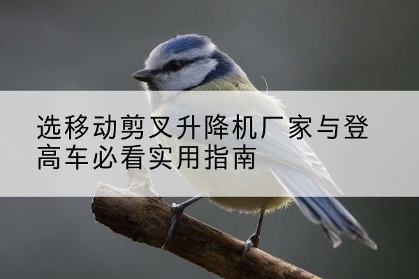 广陵电动升降机厂家-选移动剪叉升降机厂家与登高车必看实用指南