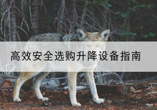 广陵升降货梯厂家推荐-*安全选购升降设备指南