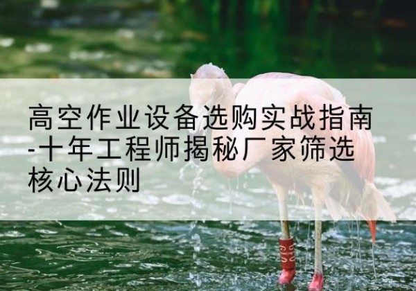 广陵剪叉式升降机厂家-高空作业设备选购实战指南-十年工程师揭秘厂家筛选核心法则